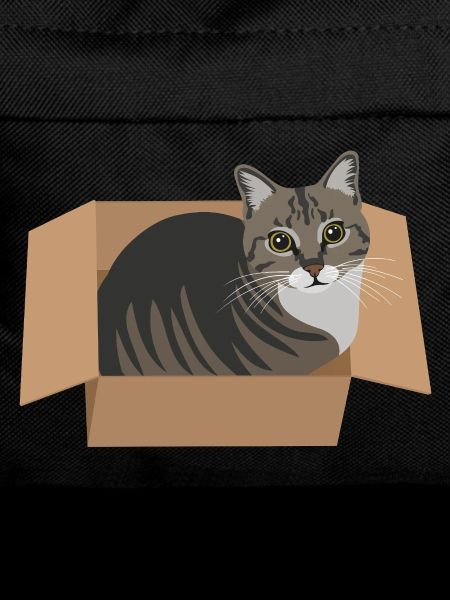 Cat in a box