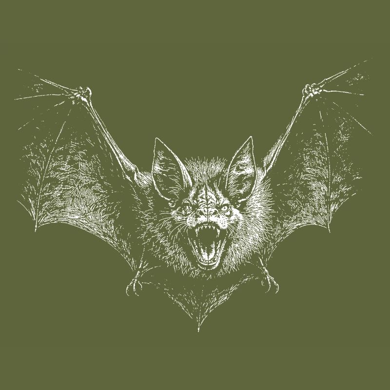 Bat