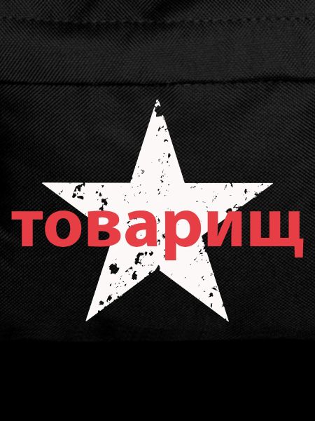 товарищ