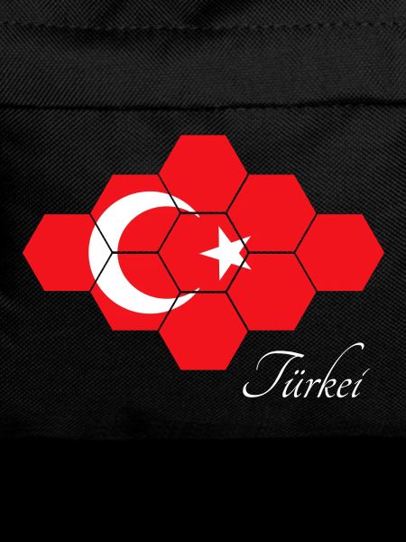 Turkey Hexagon Flag Art