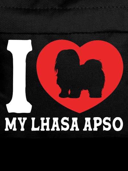Lhasa Apso Hund