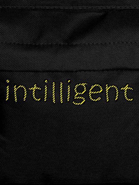 intelligent