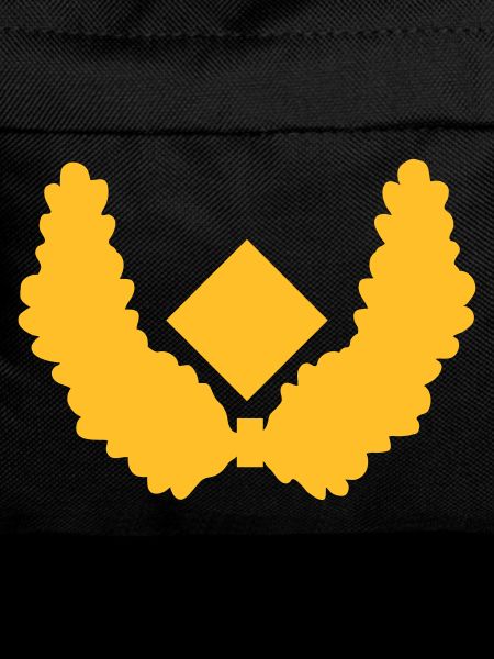 Brigadegeneral Dienstgrad