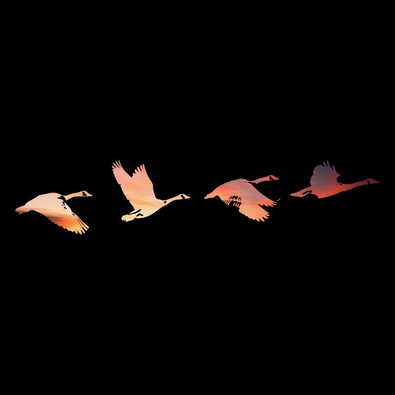 Geese #2