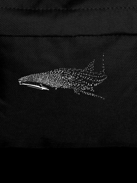 Whale shark