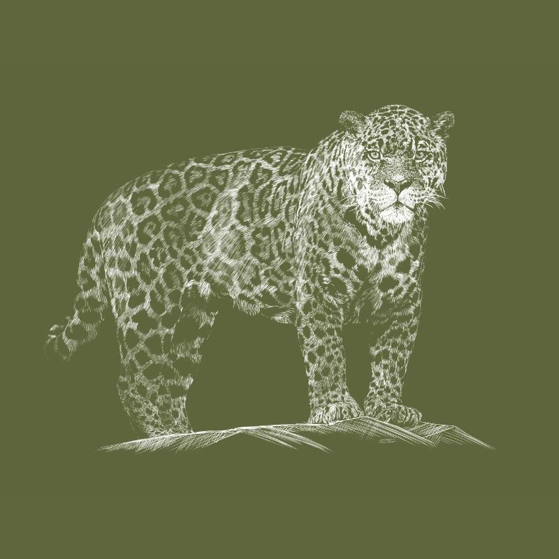 Léopard
