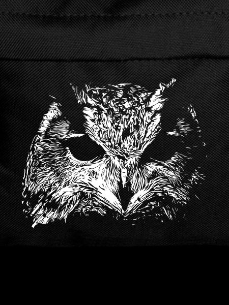 Spooky Owl