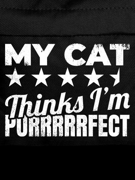 My cat finds me purrrrrfect