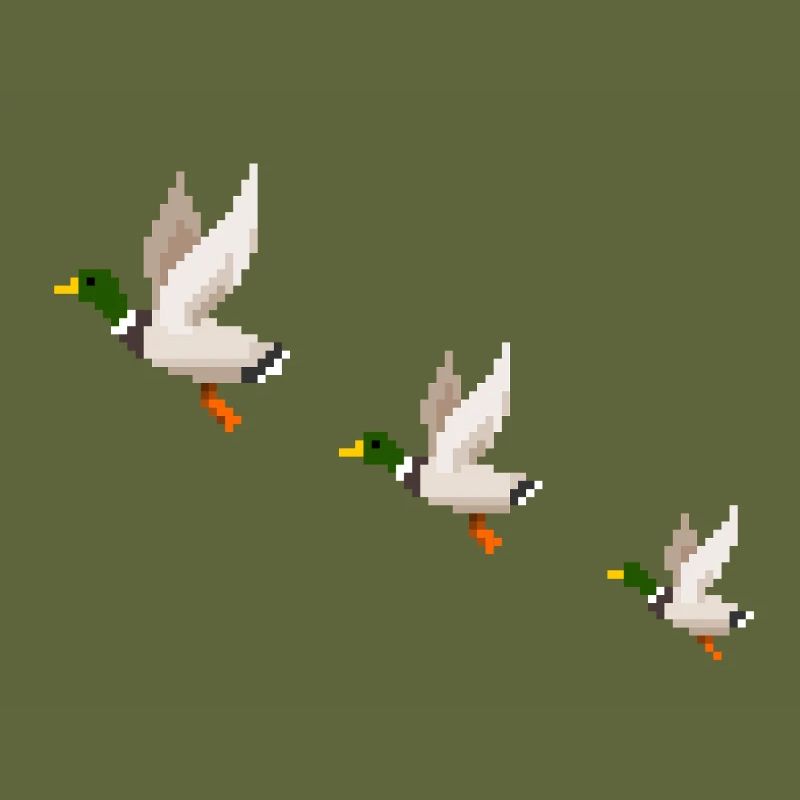 Flying Ducks