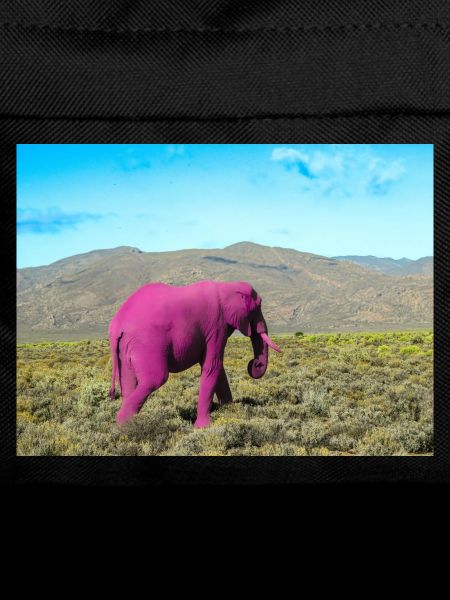 Pink elephant in the deserted savannah