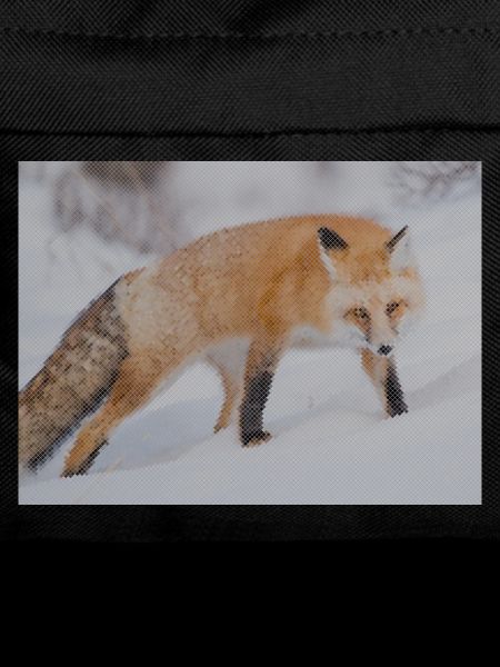 Snow Fox Pixel Art