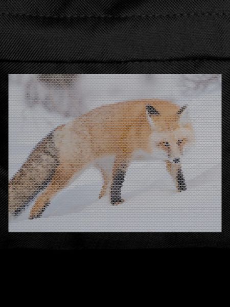 Geometrischer Fuchs