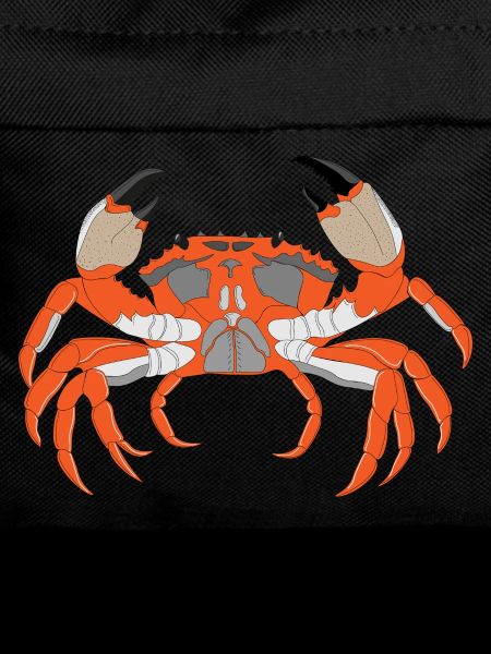 Empreinte de crabe