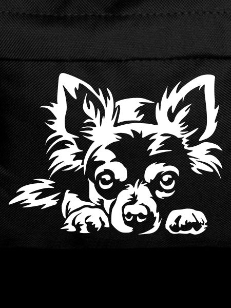 Chihuahua "Black Edition"