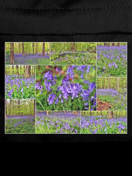 Purple Forest Wild Hyacinth Collage