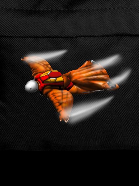 wingsuit