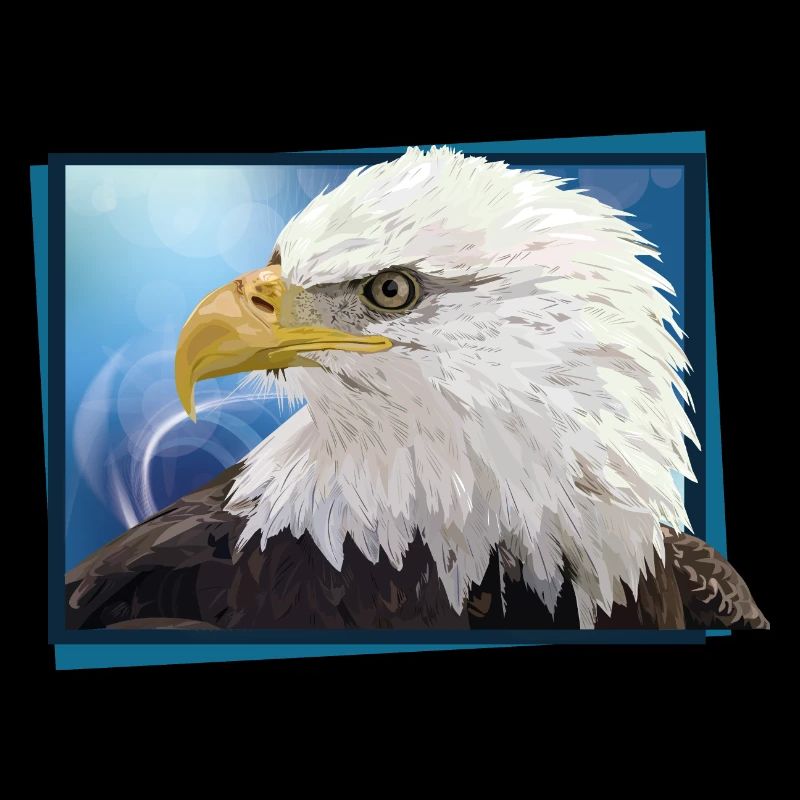Aigle chauve