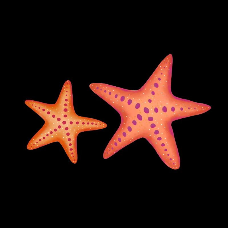 Étoile de mer