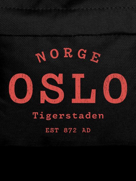 Oslo Tigerstaden Emblem 872AD