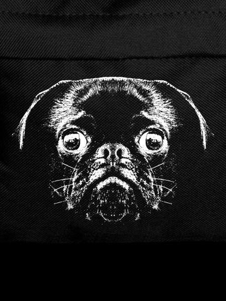 Pug / Face / Head