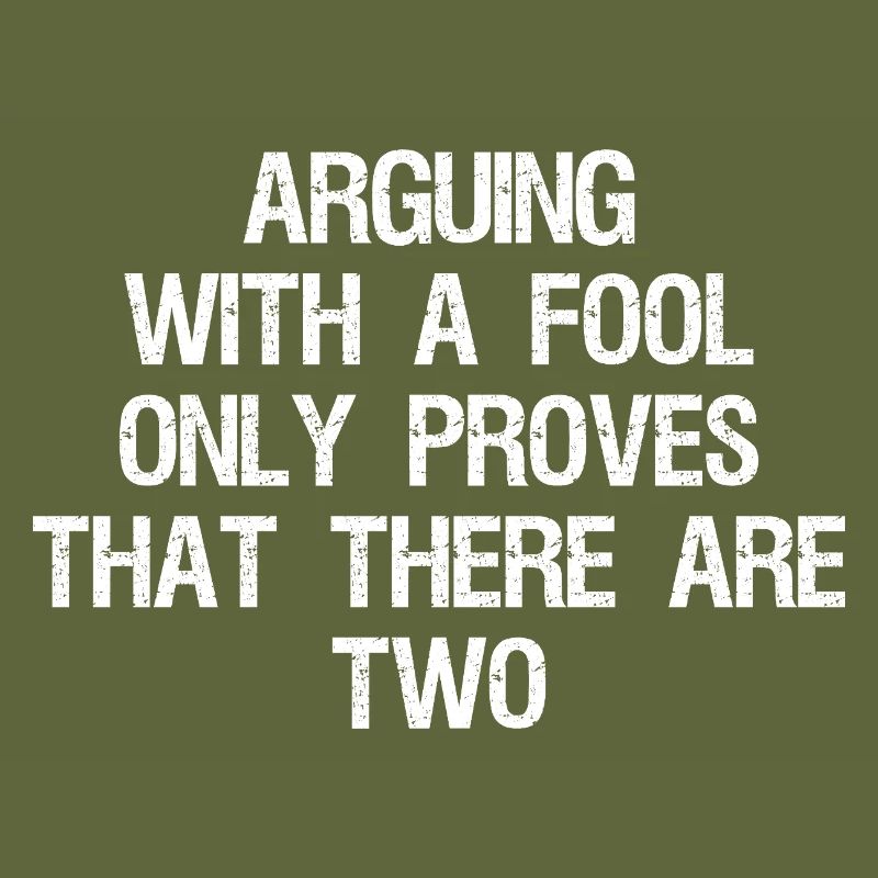 arguing with a fool only proves that there are two