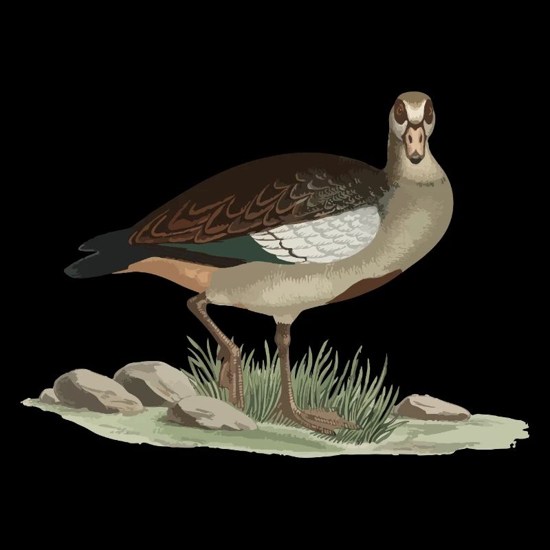 Earthy duck nature style