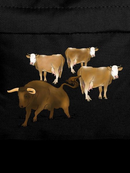Bull, cows