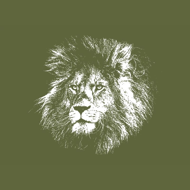 Lion drawing