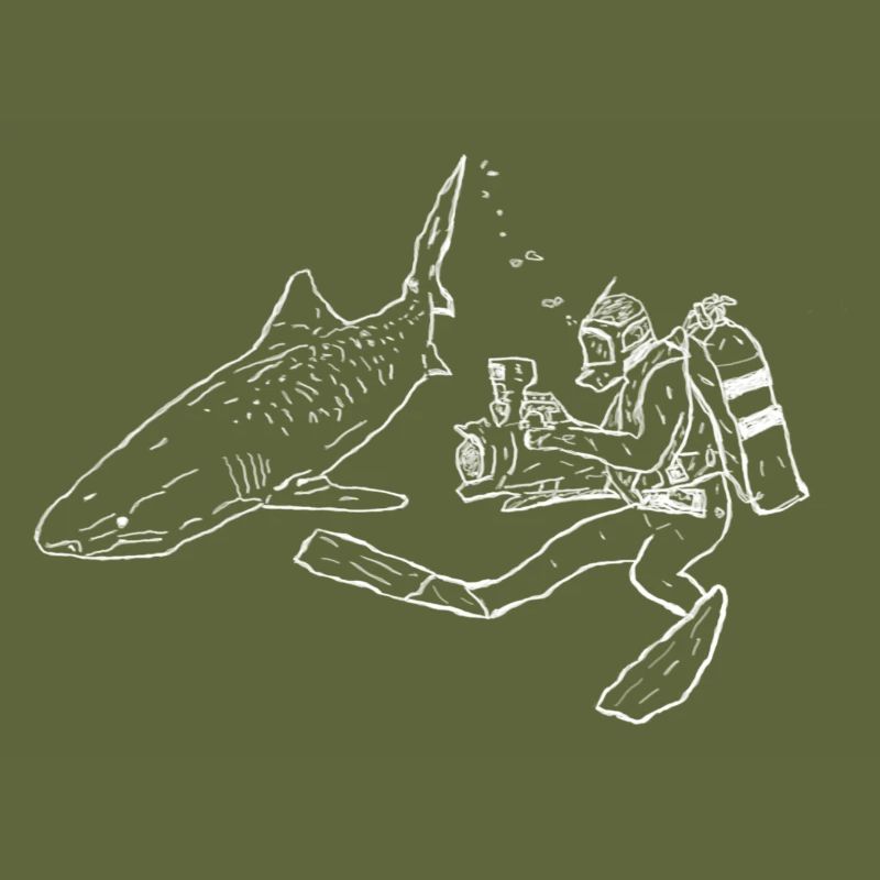 Shark Diver