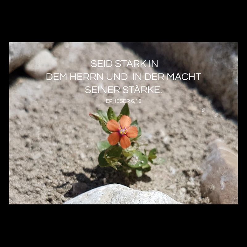 Kraft durch Glauben Blume der Stärke