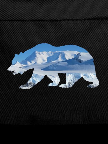 Eisbär