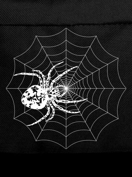 Spinnennetz Skizze mit Spinne