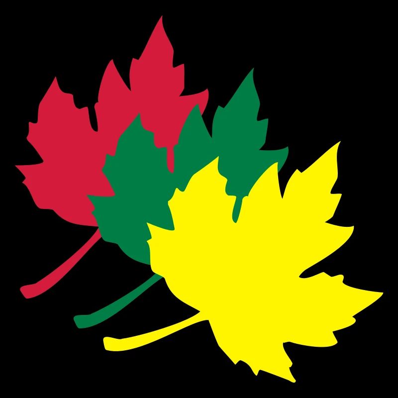 maple leaf