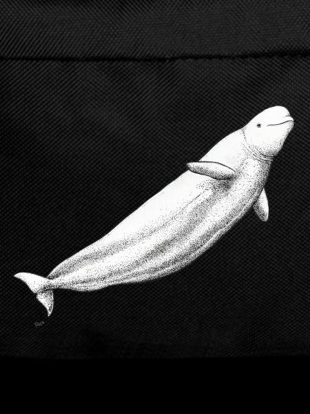 Beluga