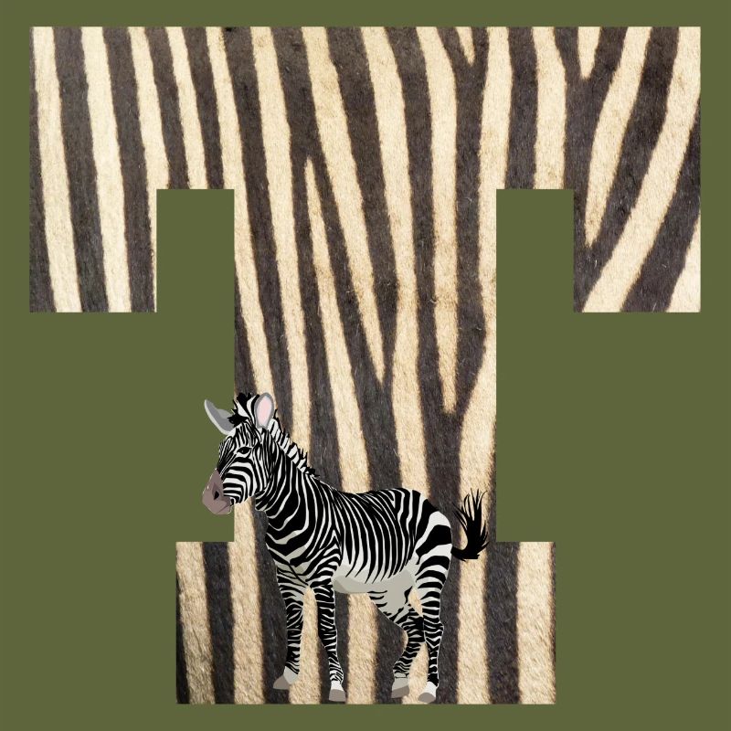 zebra t