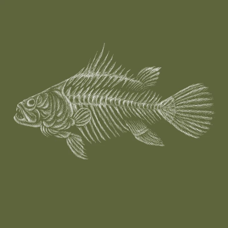 Fish drawing