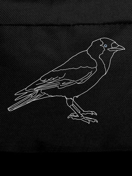 Jackdaw lineart