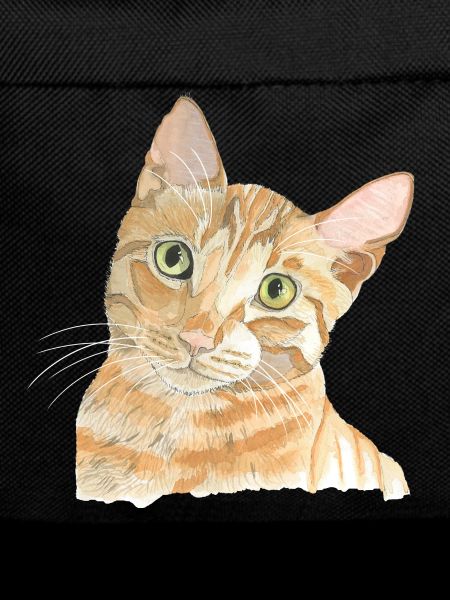red cat