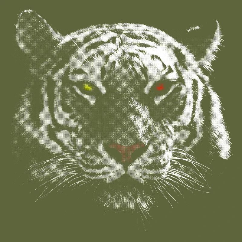 white tiger