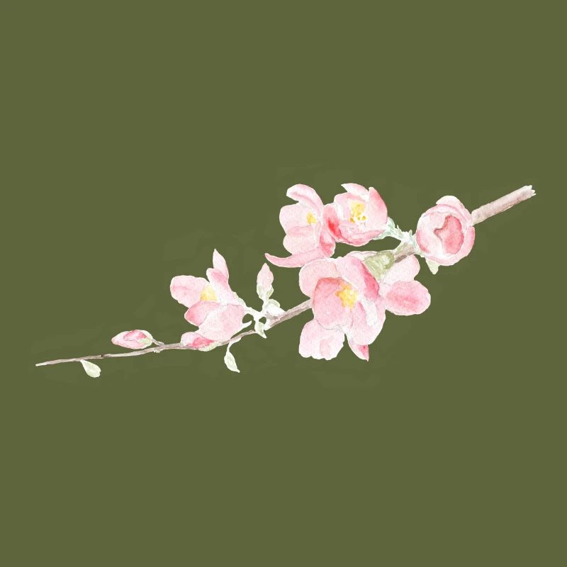 Cherry Blossom - Sakura