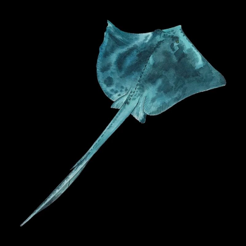 Rays with turquoise skin