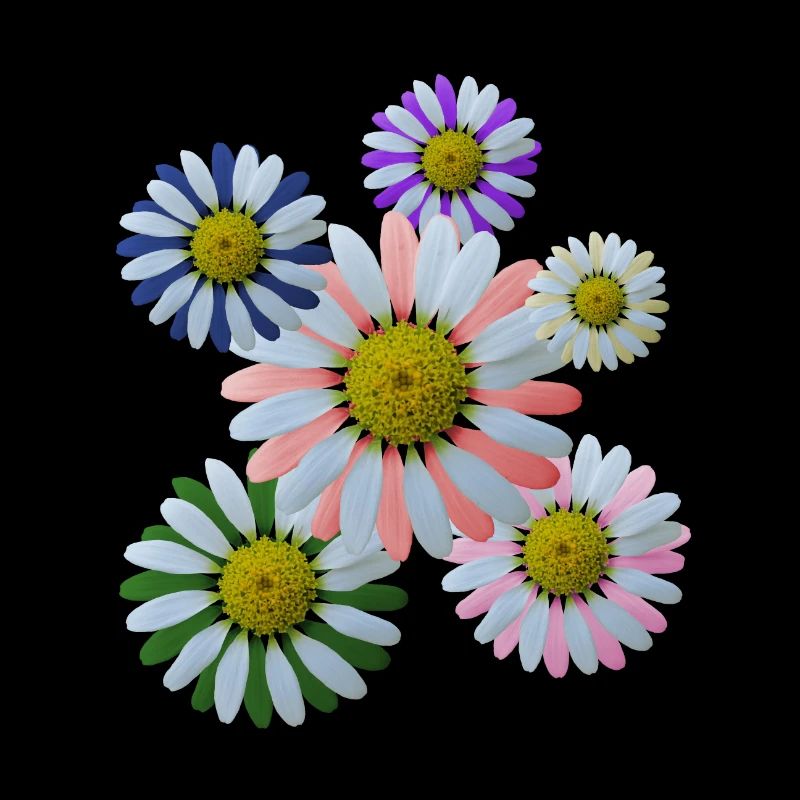 Fleur, Fleur, Fleurs, Fleur, Floral
