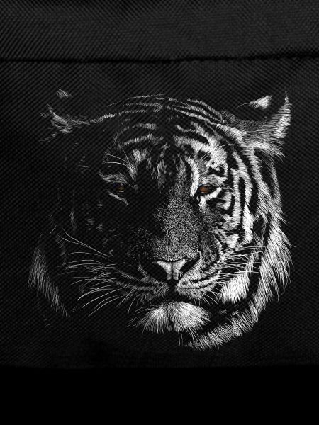 Tigre