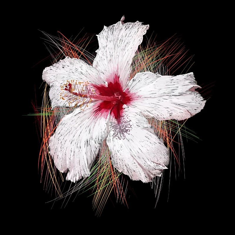 Blume