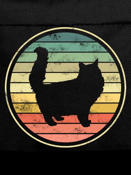 Chats Chats