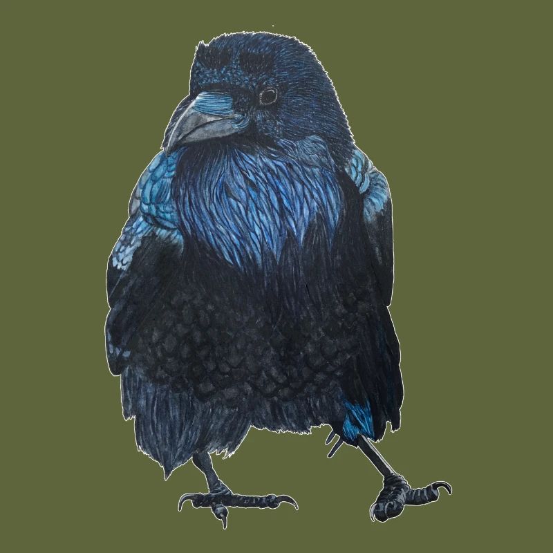 Raven Crow Walking