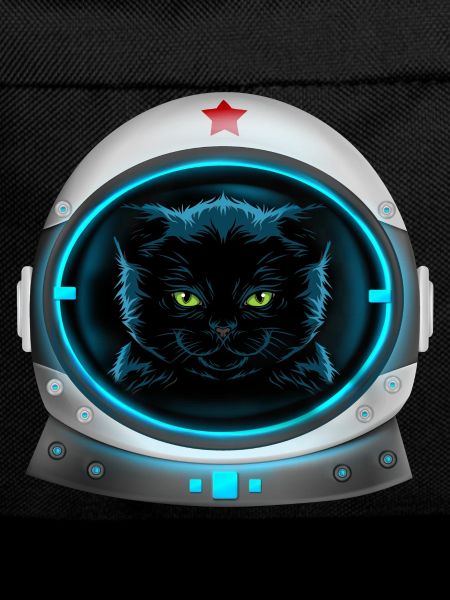 angry space cat astronaut