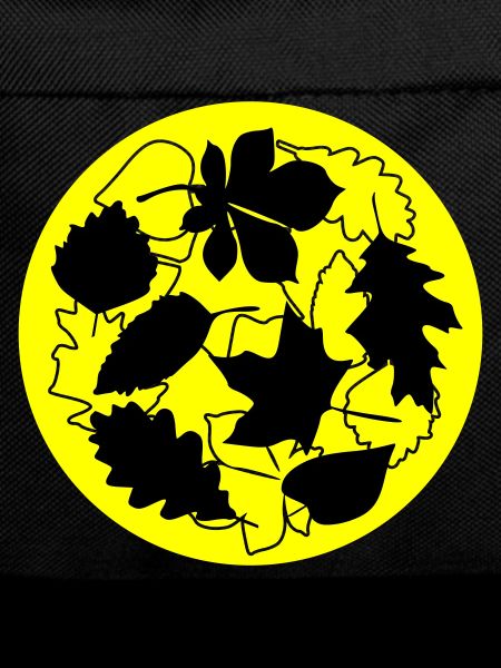 Feuilles circulaires d’automne