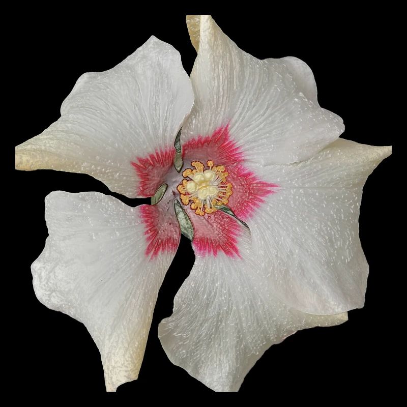 White Flower Red