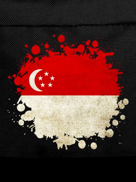 Singapore flag design